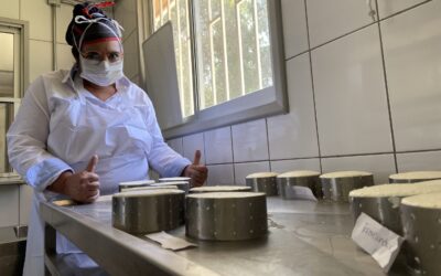 Con éxito se realiza primera producción de quesos de cabra en la Cocina Comunitaria