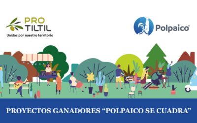 Resultados de postulaciones al Fondo de Financiamiento «Polpaico se Cuadra»